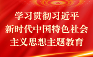 学习贯彻习近平新时代中国特色社会主义思想主题教育