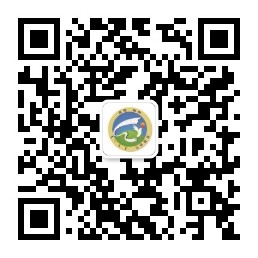 乌审教育.jpg